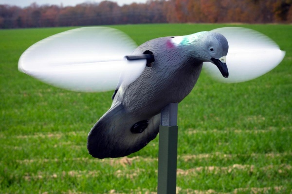 mojo-pigeon-decoy
